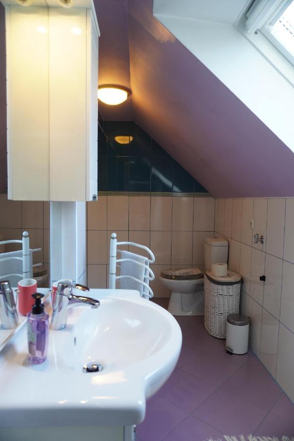 Appartement Koca Kopriva à Križe Extérieur photo